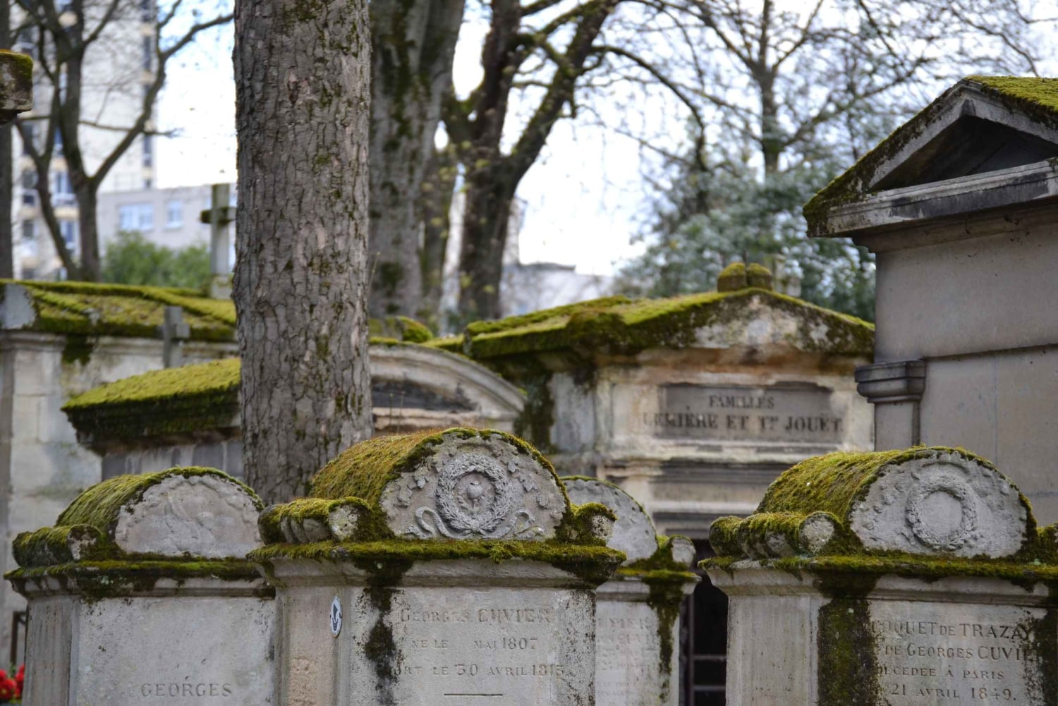 Paris: Guidet omvisning på kirkegården Père Lachaise