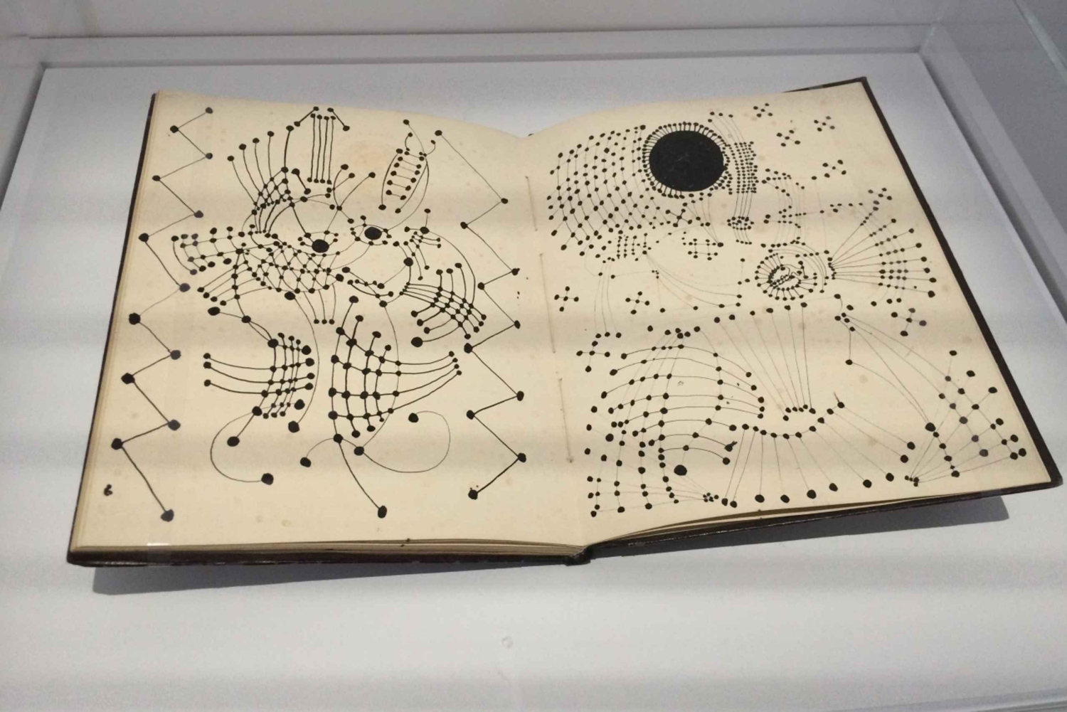 Pariisi: Picasso-museon lippu & valinnainen Seinen jokiristeily