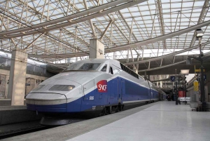 Paris Private Arrival Transfer: Railway Station to Hotel