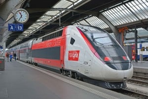 Paris Private Arrival Transfer: Railway Station to Hotel