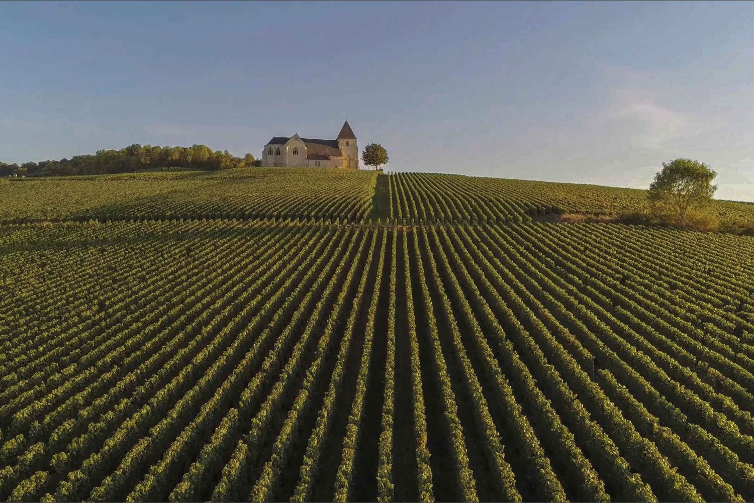 Paris: Private Tagestour mit Chauffeur in die Champagne