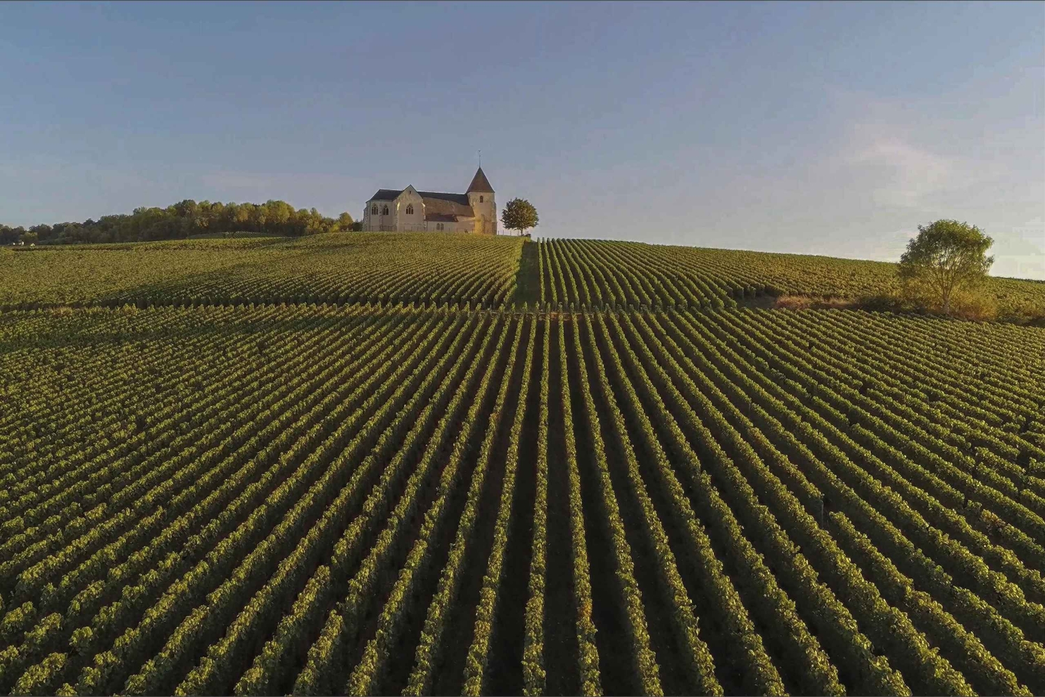 Parigi: Escursione con autista privato nella regione dello Champagne