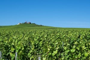 Paris: Private Tagestour mit Chauffeur in die Champagne