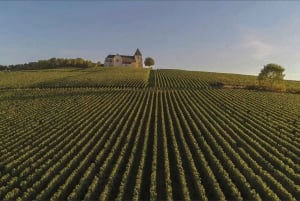 Paris: Private Tagestour mit Chauffeur in die Champagne