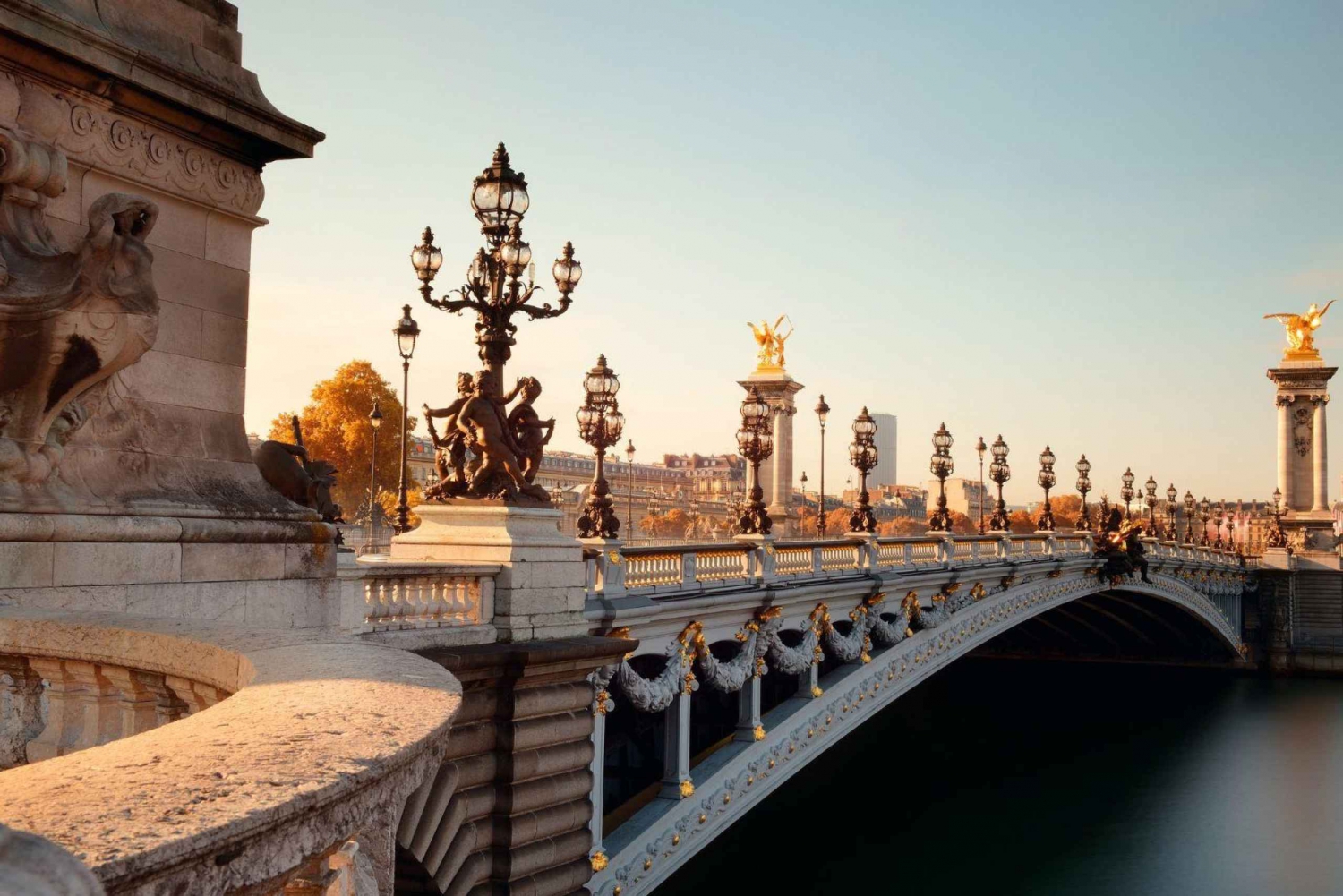 Il meglio di Parigi: Tour privato a piedi con personale locale