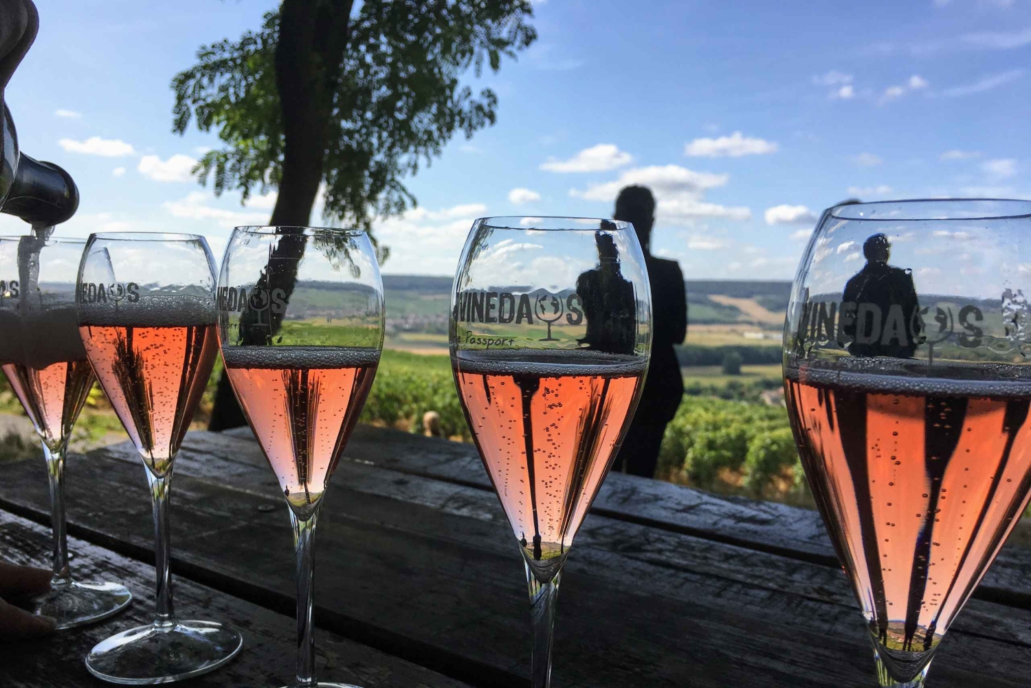 Париж: Частная однодневная поездка в Шампань с 8 дегустациями и обедом