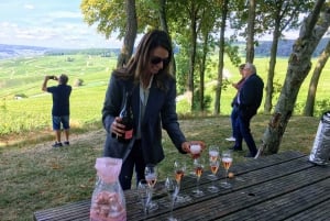 Paris: Private Day Trip to Champagne with 8 Tastings & Lunch