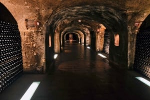 Paris: Private Day Trip to Champagne with 8 Tastings & Lunch