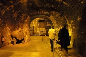 Paris: Private Day Trip to Champagne with 8 Tastings & Lunch