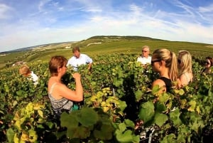 Paris: Privat dagstur till Champagne Privat dagsutflykt till Champagne med 8 provsmakningar & lunch