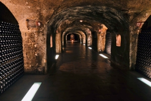 Париж: Частная однодневная поездка в Шампань с 8 дегустациями и обедом