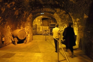 Париж: Частная однодневная поездка в Шампань с 8 дегустациями и обедом