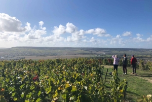 Париж: Частная однодневная поездка в Шампань с 8 дегустациями и обедом