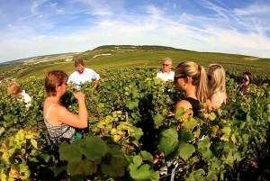 Париж: Частная однодневная поездка в Шампань с 8 дегустациями и обедом