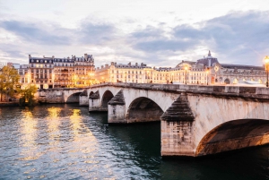 Paris : visite privée avec croisière commentée sur la Seine