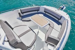 Paris : Croisière privée sur la Seine