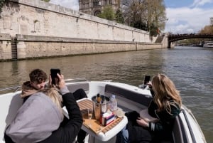 Paris : Croisière privée sur la Seine