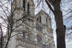 パリ：運転手付き車でのプライベートツアー