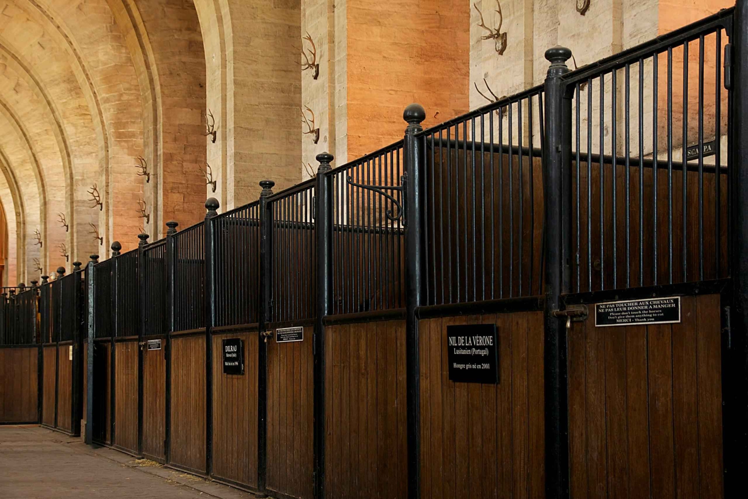 Pariisi: Domaine de Chantillyn yksityinen kierros Lippu&Transfer