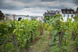 Paris: Privat dagsutflykt till Montmartre och Eiffeltornet