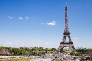 Paris : Private Walking Guided Tour of City's Highlights