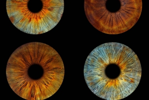 Parigi: Fotografia professionale dell'iride con stampa incorniciata