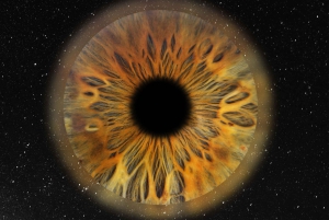 Parigi: Fotografia professionale dell'iride con stampa incorniciata