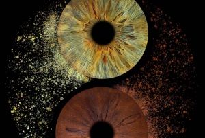 Parigi: Fotografia professionale dell'iride con stampa incorniciata