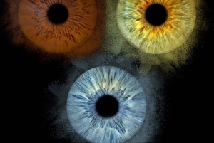 Parigi: Fotografia professionale dell'iride con stampa incorniciata