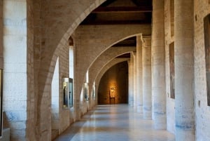 París: excursión de 1 día a Reims con catas de champán