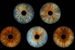 Paris Rivoli: Reveal the beauty of your iris with Iris Galerie