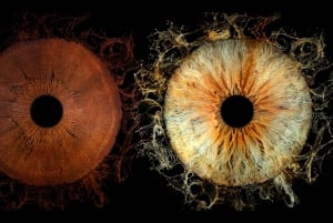 Paris Rivoli: Reveal the beauty of your iris with Iris Galerie