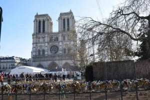 Paris: Sainte-Chapelle, Conciergerie, Notre Dame Guided Tour