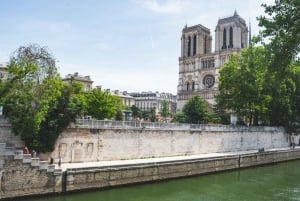 Paris: Scenic E-bike tour with optional Seine Cruise