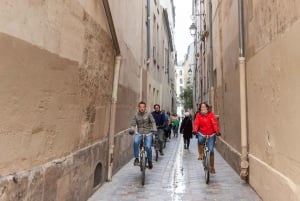 Paris: Scenic E-bike tour with optional Seine Cruise