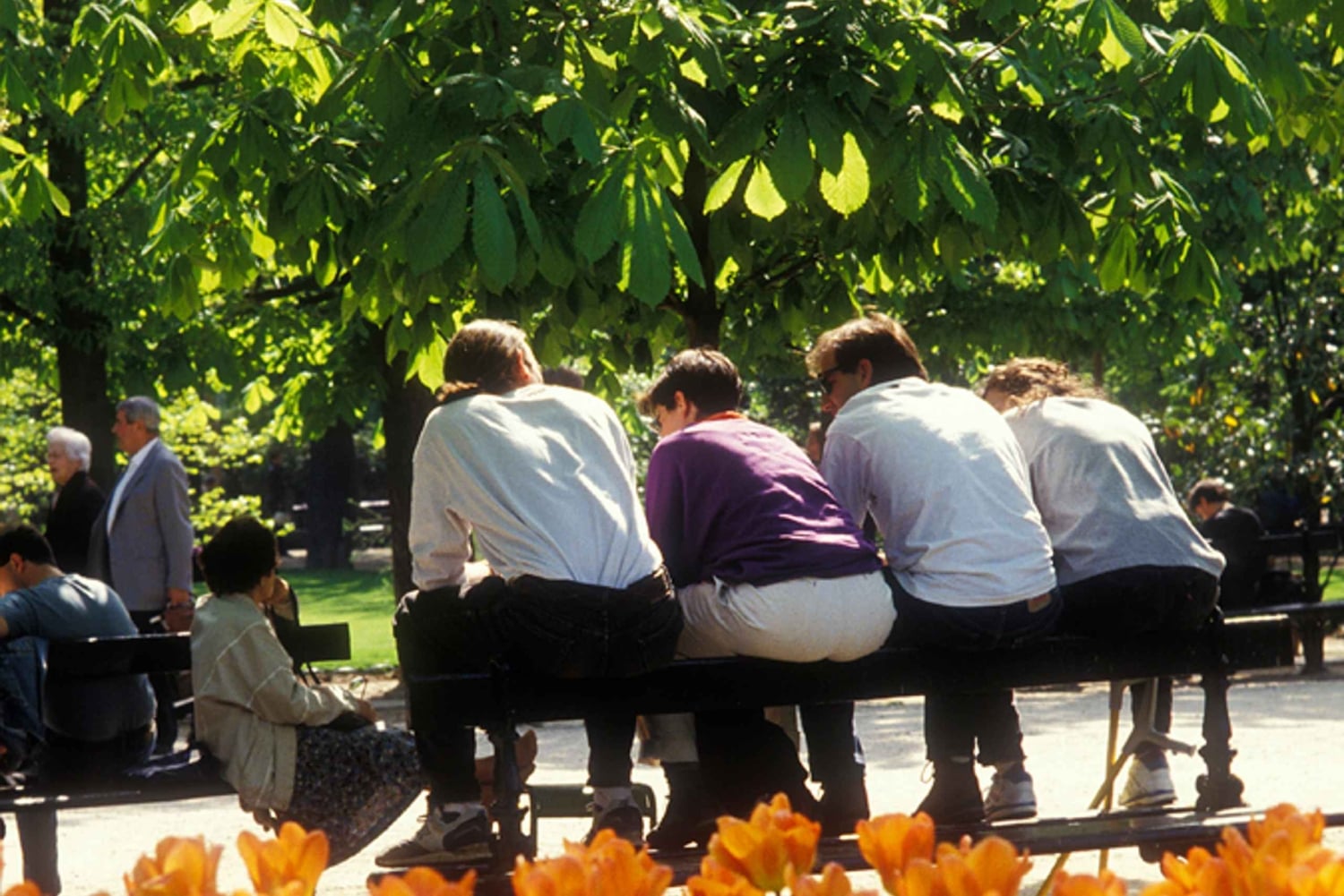 Passeio a pé de 1,30 hora pelos Jardins Secretos de Paris