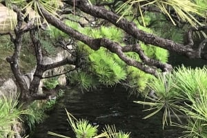 Passeio a pé de 1,30 hora pelos Jardins Secretos de Paris