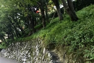 Passeio a pé de 1,30 hora pelos Jardins Secretos de Paris