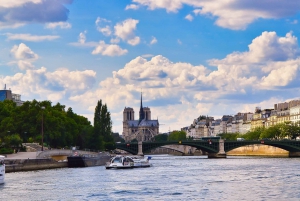 Paris: Seine Cruise and Eiffel Tower Carousel Tickets