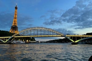 Paris: Seine River Private Cruise