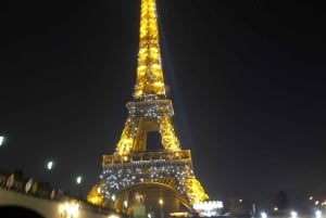 Paris: Seine River Private Cruise