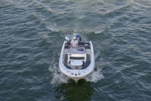 París: Crucero Privado en Barco Pequeño con Rosé y Macarons