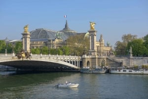 París: Crucero Privado en Barco Pequeño con Rosé y Macarons