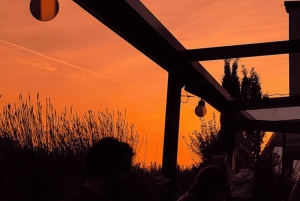 Paris: Speakeasy og skjulte barer tur