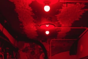 Paris: Speakeasy og skjulte barer tur