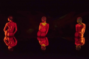 Paris: The Crazy Experience, en VIP-tur på Cabaret