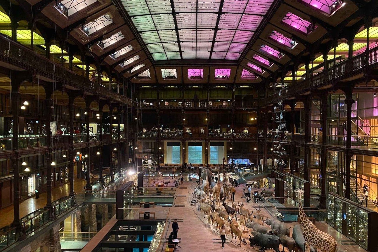 Paris: Grande Galerie-billet og digital byvandring