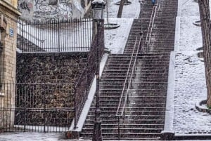 Paris Top Sights Halbtagestour zu Fuß mit einem lustigen Guide