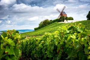 Paris: Two Reims Champagne Vineyards with Tastings and Lunch