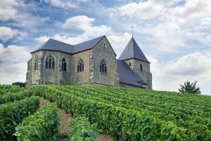 Paris: Two Reims Champagne Vineyards with Tastings and Lunch